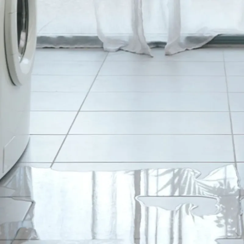 Appliance Leak Cleanup in Orange Park, FL
